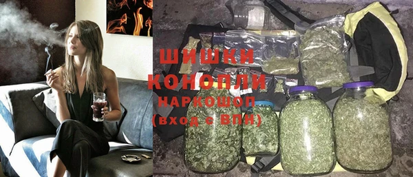 spice Осинники
