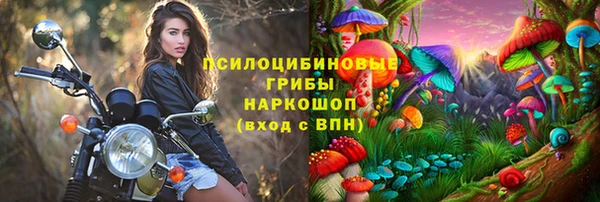 spice Осинники