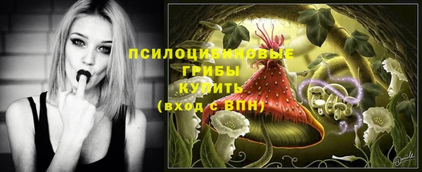 spice Осинники