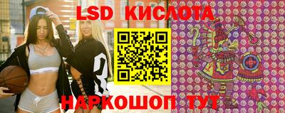 spice Гатчина