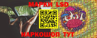 spice Гатчина