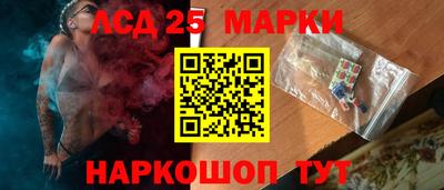 spice Гатчина