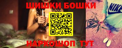 spice Гатчина