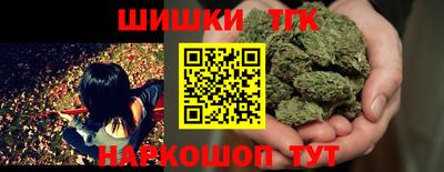 spice Гатчина