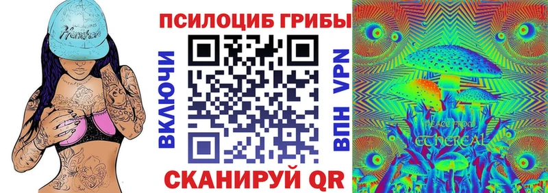 Псилоцибиновые грибы Cubensis  где продают   Кушва 