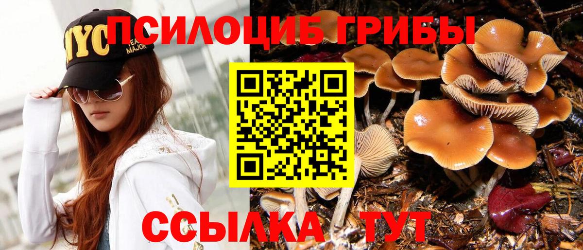 Галлюциногенные грибы Psilocybine cubensis  Вход с VPN  Галлюциногенные грибы GOLDEN TEACHER  Кушва 